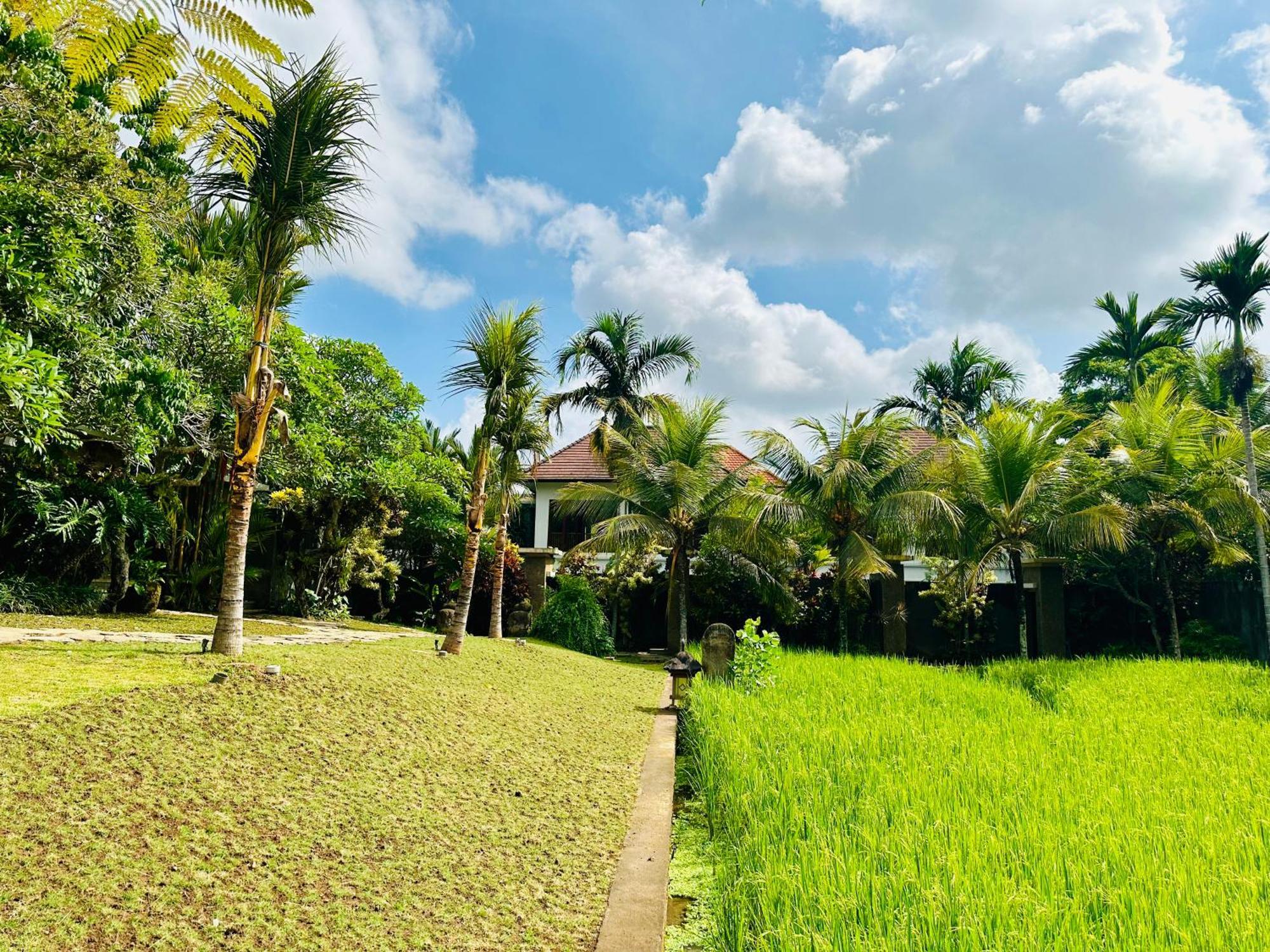 Wana Karsa The Villas Ubud Екстер'єр фото